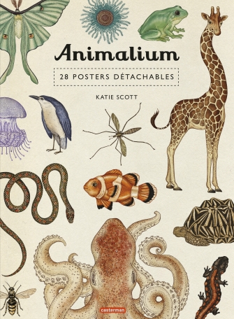 Animalium - 28 posters détachables